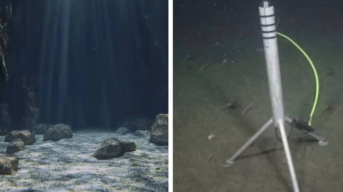 Cientistas finalmente conseguem explicar o misterioso som detectado a milhares de metros abaixo da superfície do oceano