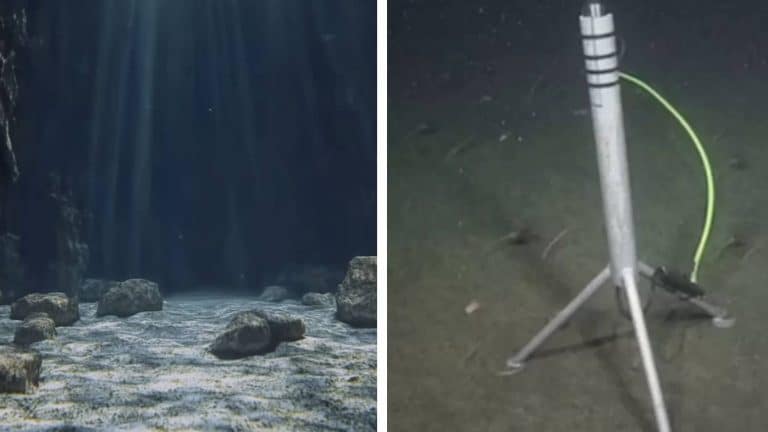 Cientistas finalmente conseguem explicar o misterioso som detectado a milhares de metros abaixo da superfície do oceano