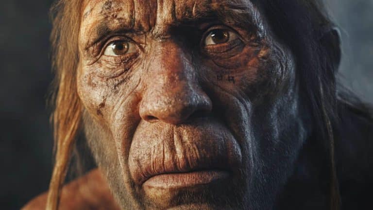 Cientistas revelam prova de que humanos tiveram relações sexuais com 3 populações diferentes de uma espécie extinta.