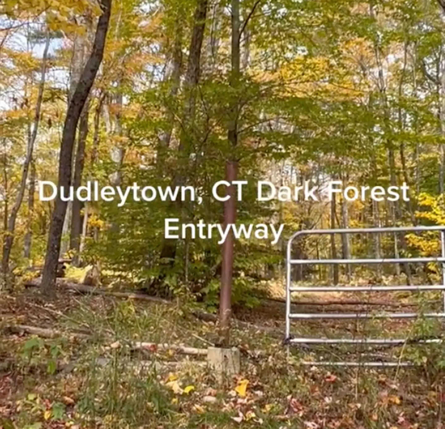 Dudleytown está localizada em Cornwall, Connecticut (TikTok/@dhelto79).