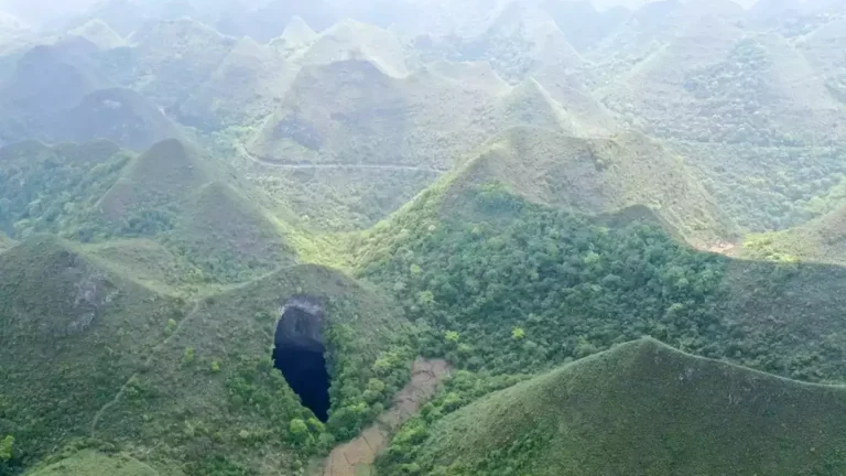 Enorme floresta antiga é descoberta a 192 metros de profundidade em buraco na China