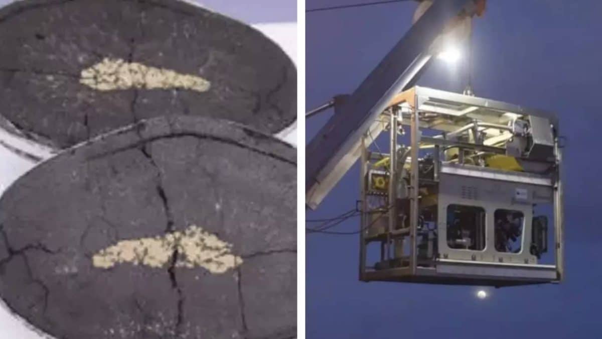 Japão encontra tesouro ao descobrir 230.000.000 de toneladas de mineral raro que pode render bilhões.