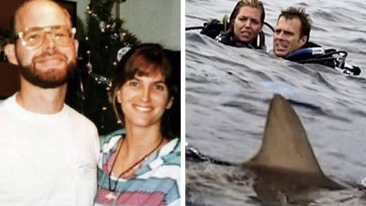 Mensagem trágica descoberta quando casal desaparece após ser deixado para trás durante mergulho