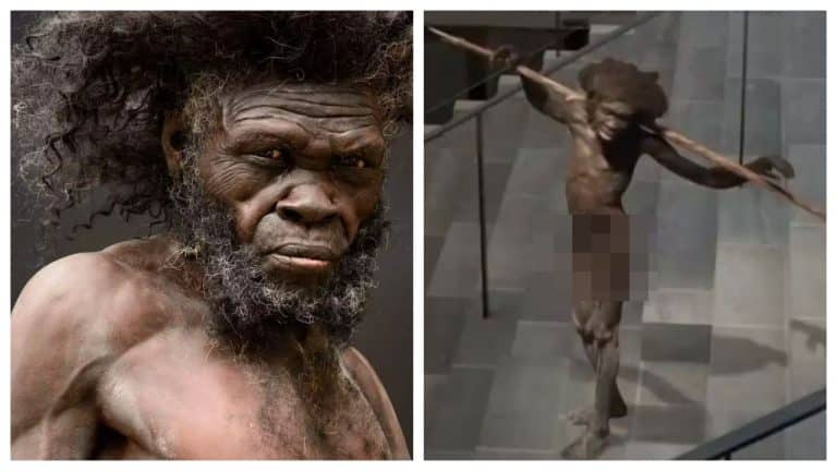 Museu recria aparência dos primeiros humanos, deixando as pessoas chocadas com os detalhes impressionantes