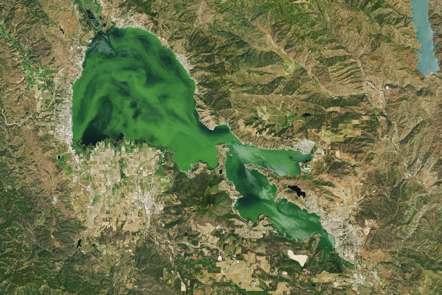 O Clear Lake, na Califórnia, também adquiriu um tom verde vibrante (NASA).