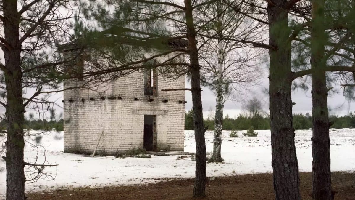 Você tem a visão de um franco-atirador de elite se conseguir encontrar o atirador mortal escondido na foto