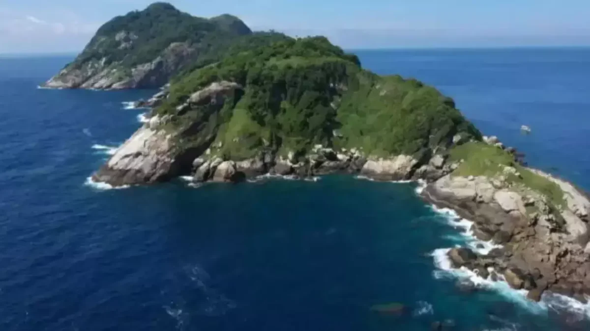 A Ilha das Cobras, no Brasil, onde nenhum humano pode visitar, é lar de uma espécie muito mais letal do que as cobras comuns