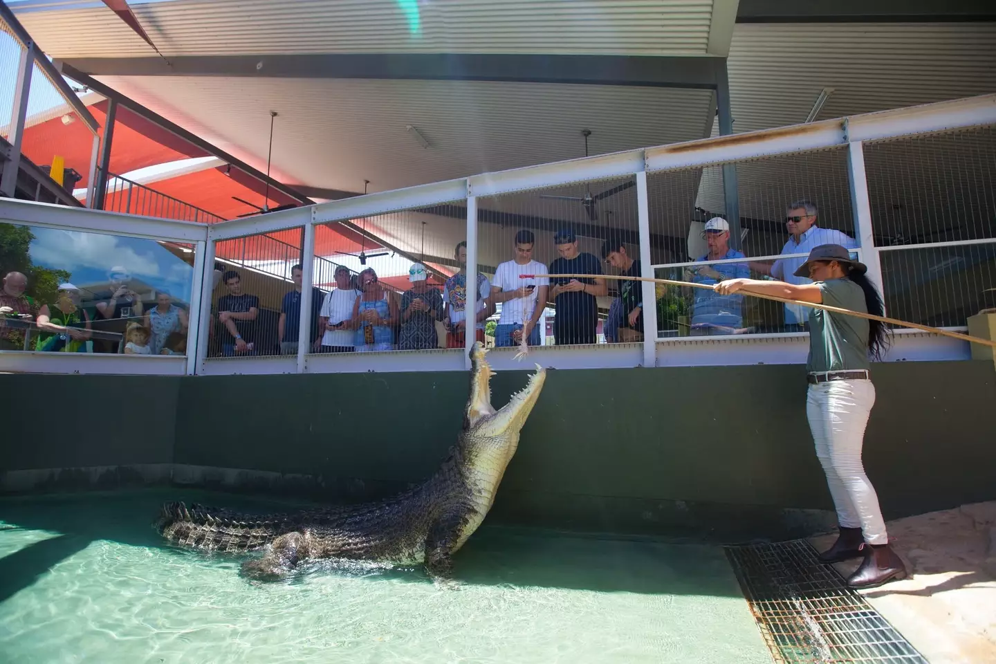 Burt viveu no santuário em Darwin por 16 anos (Facebook:Crocosaurus Cove Darwin).