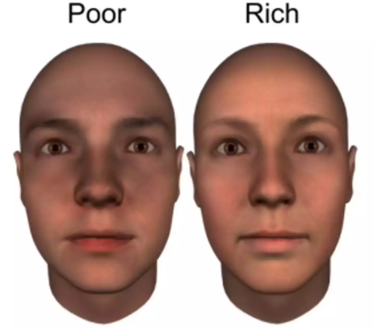 Cientistas da Universidade de Glasgow solicitaram que os participantes analisassem uma variedade de rostos em 3D.