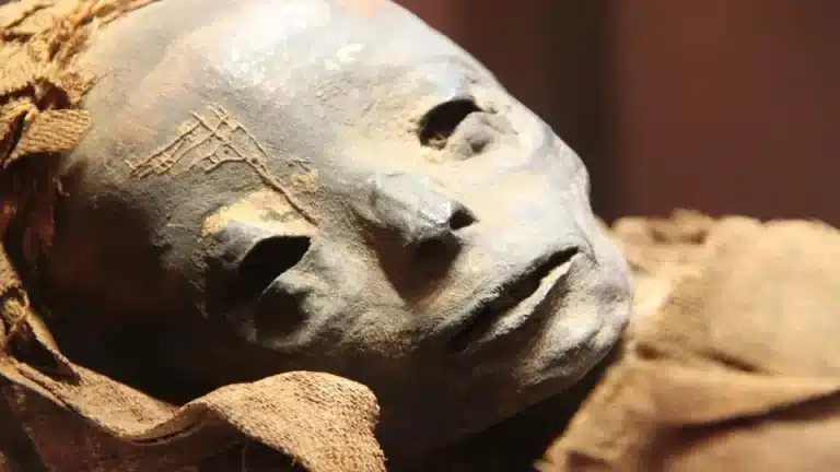 Doença antiga que matou 50 milhões de pessoas é encontrada no DNA de múmia egípcia