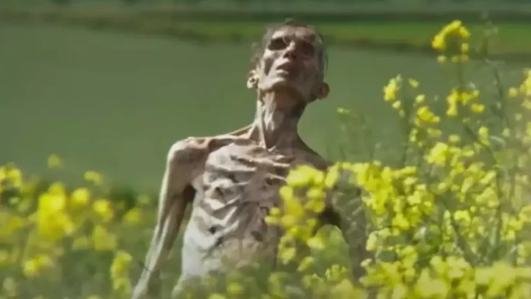 O primeiro teaser trailer de Extermínio 3, com Cillian Murphy, foi lançado