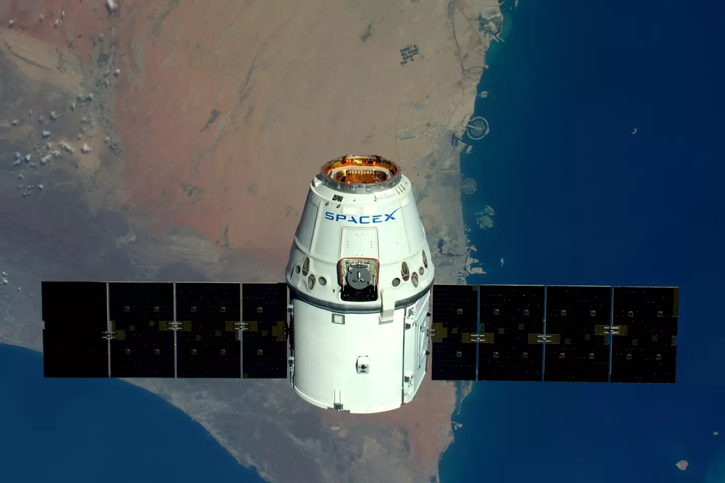 O veículo da SpaceX será uma versão mais poderosa de sua espaçonave Dragon, como ilustrado.