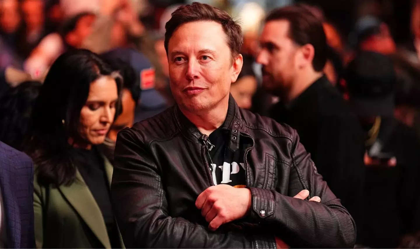 Os parentes ingleses de Musk alegam ter tentado entrar em contato com o magnata da tecnologia no passado (Chris Unger/Zuffa LLC).