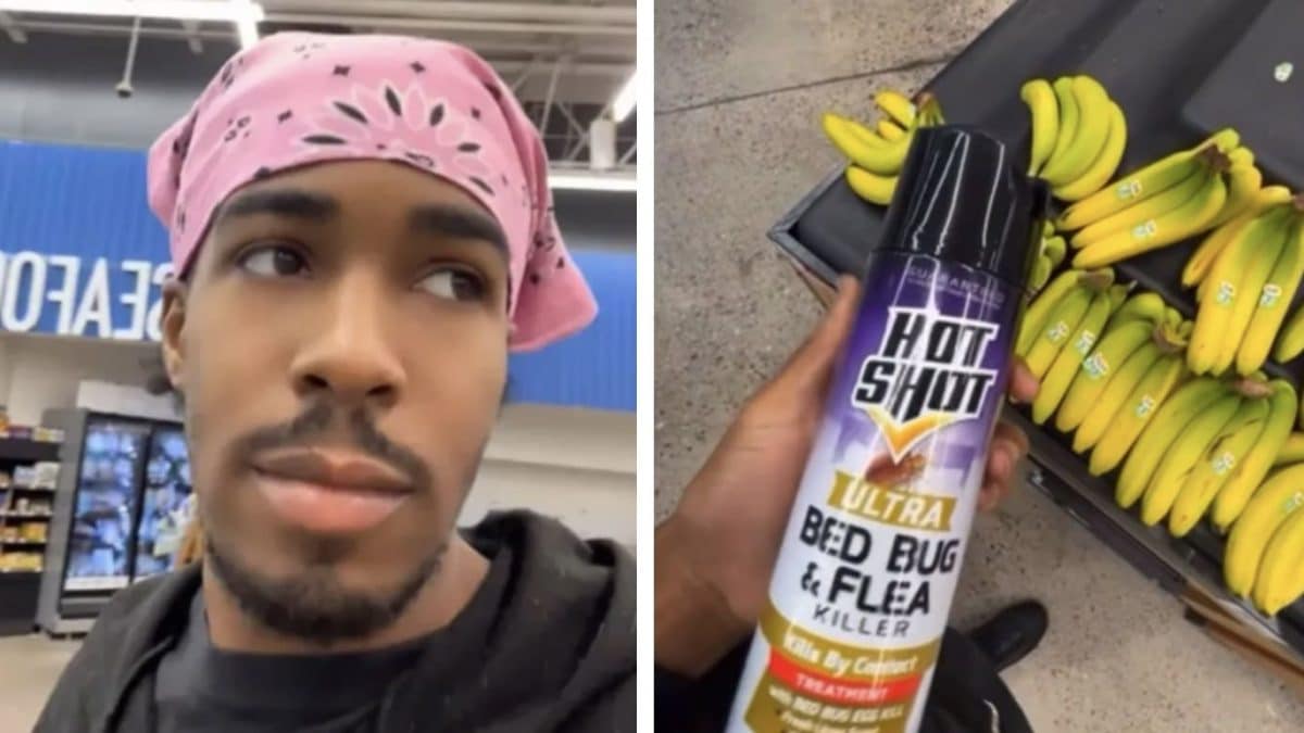TikToker é preso após postar vídeo borrifando pesticida em alimentos dentro de supermercado