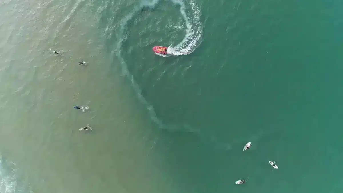 Apenas pessoas com "visão de sniper" conseguem encontrar este tubarão escondido no oceano