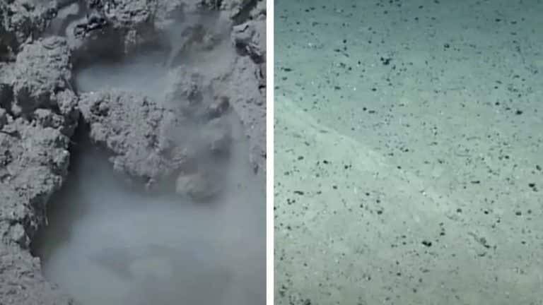 Cientista faz descoberta perturbadora no ponto mais profundo da Terra