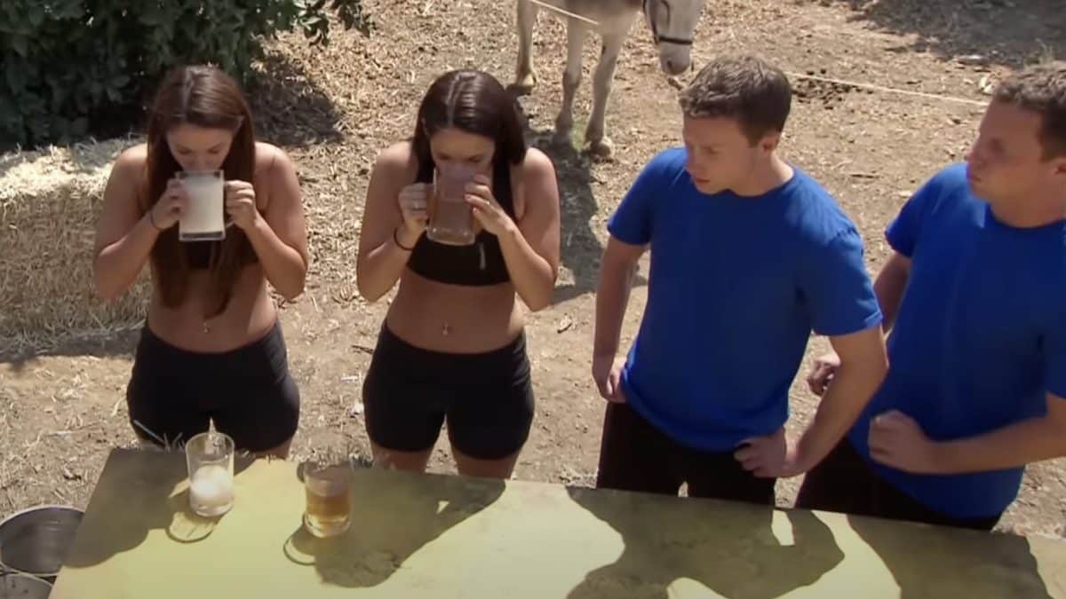 Desafio de reality show envolvendo jumentos foi tão perturbador que o episódio nunca foi ao ar