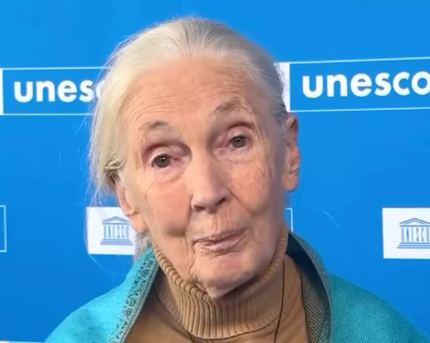 Jane Goodall pediu à FIFA que tome medidas (Instagram/@unesco).