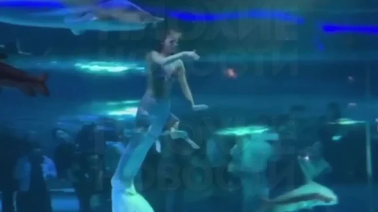 Momento aterrorizante em que peixe gigante ataca o rosto de mulher na frente de crianças assustadas
