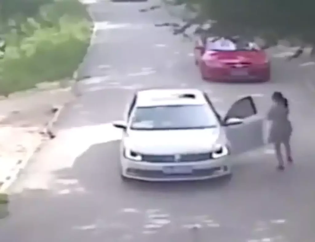 Momentos horríveis dos últimos instantes de uma mãe que foi devorada viva por um tigre enquanto tentava salvar a filha