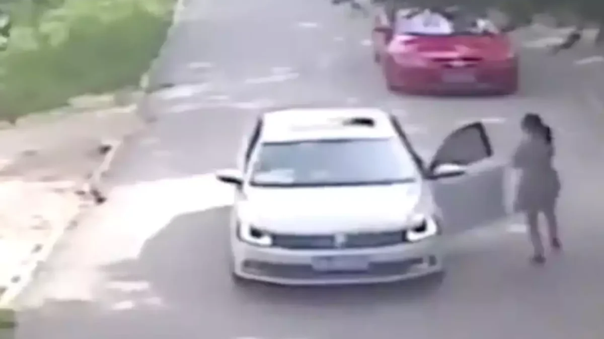 Momentos horríveis dos últimos instantes de uma mãe que foi devorada viva por um tigre enquanto tentava salvar a filha