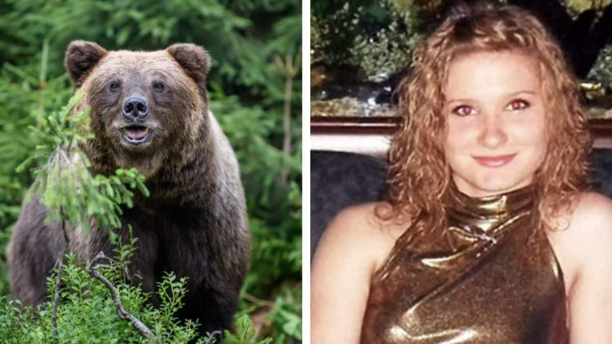 Mulher sofreu uma morte horrível ao ser devorada viva enquanto falava ao telefone com sua mãe