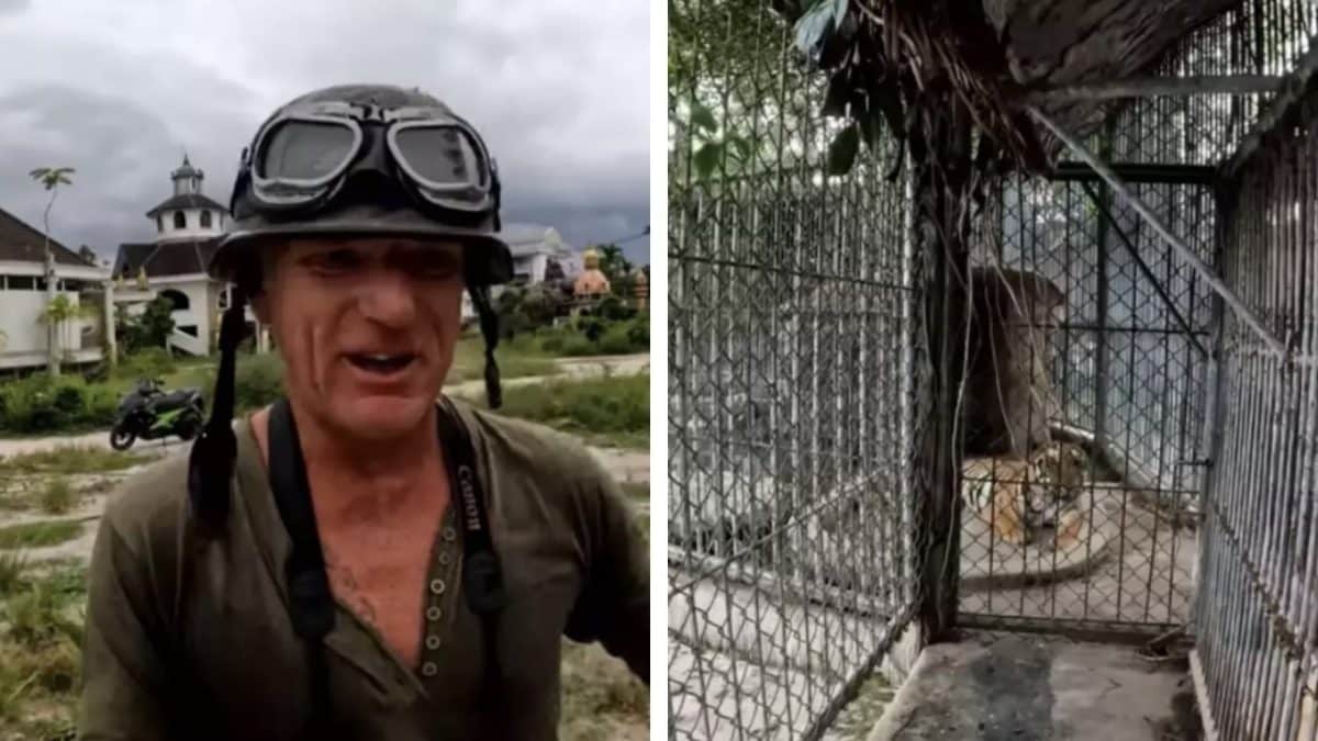 O que aconteceu com os animais deixados em um zoológico abandonado enquanto homem fica chocado com o que descobriu ao explorá-lo