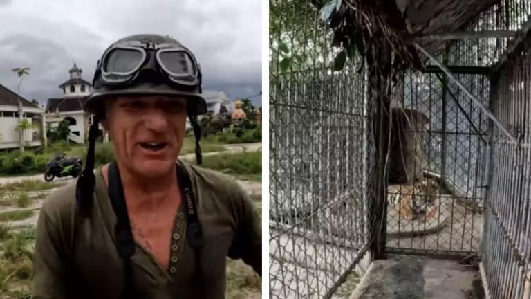 O que aconteceu com os animais deixados em um zoológico abandonado enquanto homem fica chocado com o que descobriu ao explorá-lo