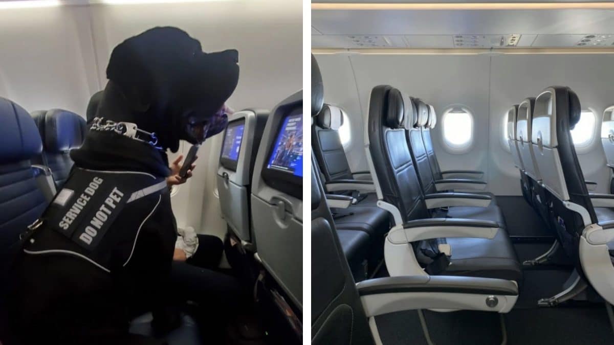 Passageiro de companhia aérea fica indignado ao descobrir que foi "removido do assento" por causa de um cachorro