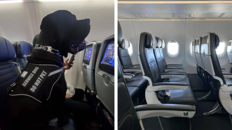 Passageiro de companhia aérea fica indignado ao descobrir que foi "removido do assento" por causa de um cachorro