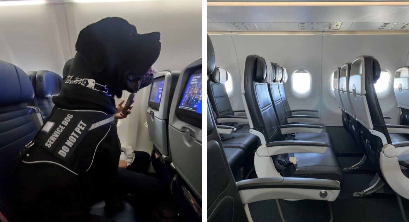 Passageiro de companhia aérea fica indignado ao descobrir que foi “removido do assento” por causa de um cachorro