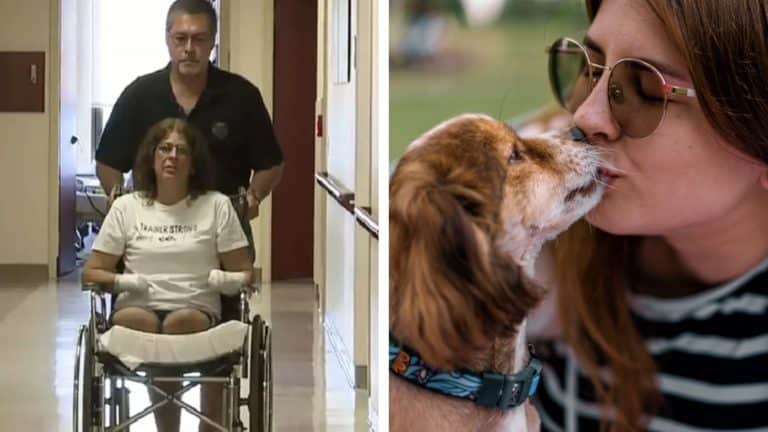 Veterinários emitem alerta urgente sobre beijar cães após mulher ter braços e pernas amputados