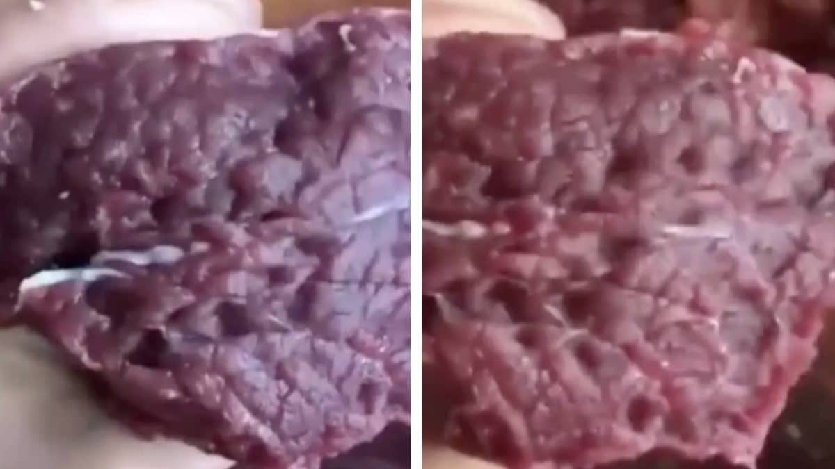 Vídeo bizarro de carne fresca se contorcendo após a aplicação de sal estão fazendo algumas pessoas se "tornarem vegetarianas"
