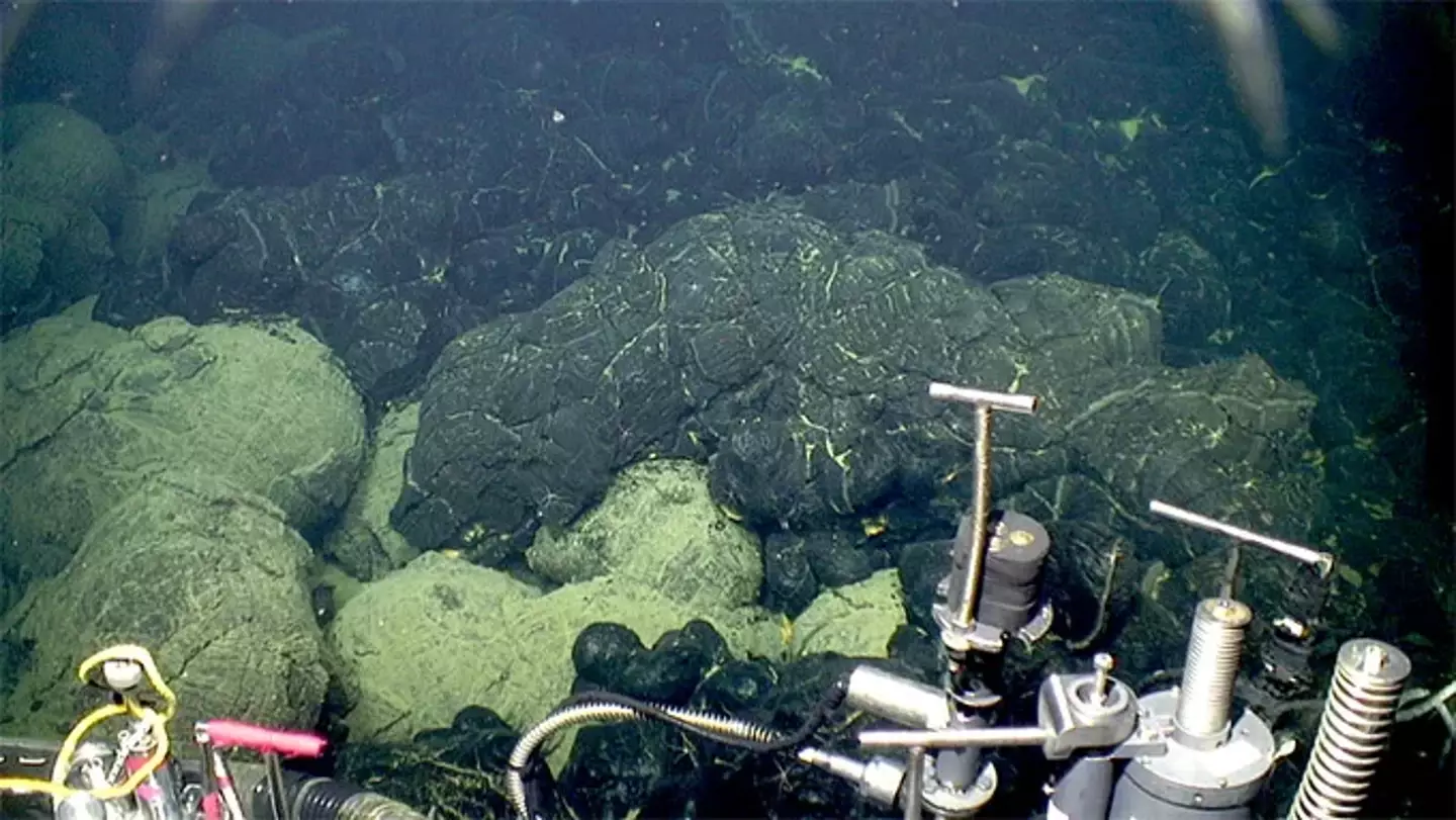 A borda do fluxo de lava de 2015 no Axial Seamount (a lava escura à direita) sobrepõe lavas mais antigas já sedimentadas (canto inferior esquerdo) (Bill Chadwick/Universidade Estadual do Oregon, ROV Jason/Instituição Oceanográfica Woods Hole).