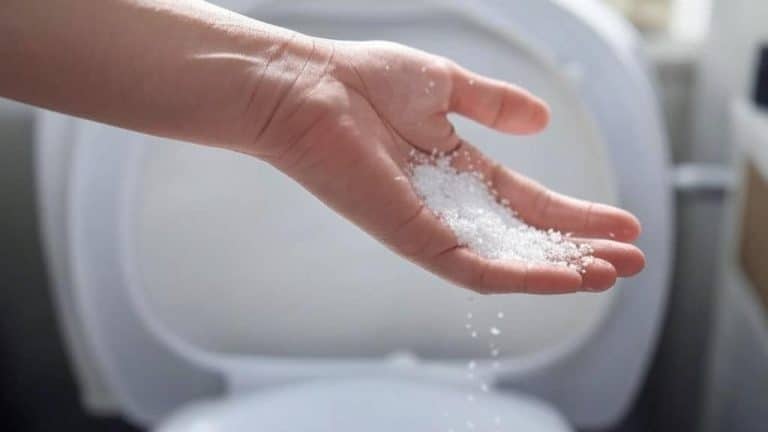 Por que jogar sal grosso no vaso sanitário e para que serve