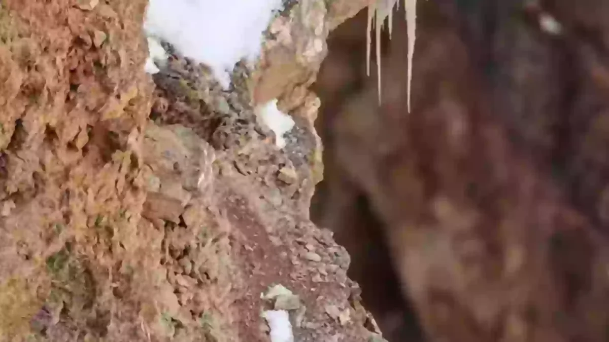 As pessoas estão ficando malucas tentando encontrar o leopardo-das-neves escondido nesta imagem