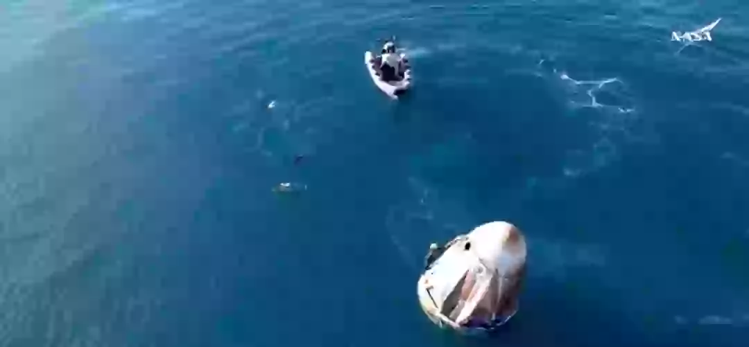 O grupo de golfinhos estava curioso sobre a embarcação (NASA).