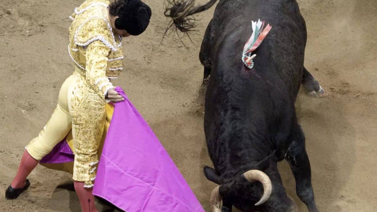 As últimas palavras arrepiantes do toureiro que morreu empalado por um touro após tropeçar em sua própria capa