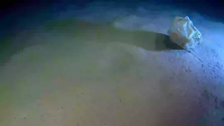 Cientistas emitem alerta após fazerem descoberta preocupante no local mais profundo do Mar Mediterrâneo