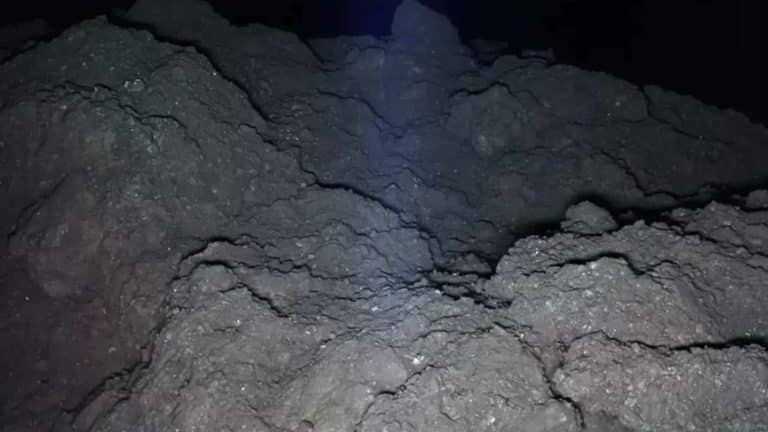 As pessoas estão assustadas pela mesma razão após ver foto impressionante de asteroide no espaço