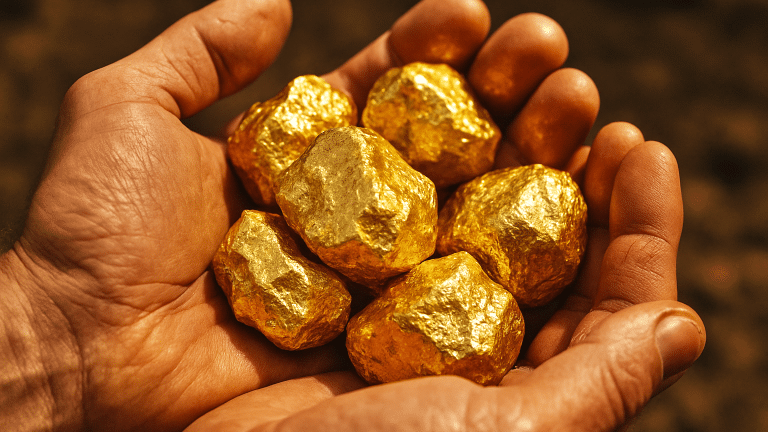 Fim da pobreza? O fungo que transforma metais em ouro e pode ser cultivado em casa