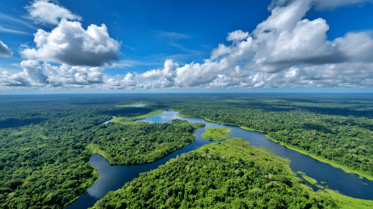 França anuncia construção de prisão de segurança máxima na floresta amazônica