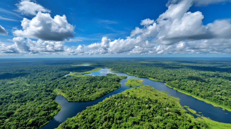 França anuncia construção de prisão de segurança máxima na floresta amazônica