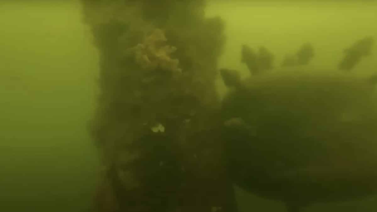 Homem é aconselhado a chamar as autoridades após GoPro fazer descoberta perturbadora ao cair no oceano