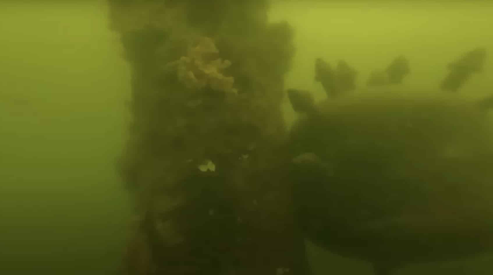 Homem é aconselhado a chamar as autoridades após GoPro fazer descoberta perturbadora ao cair no oceano Homem é aconselhado a chamar as autoridades após GoPro fazer descoberta perturbadora ao cair no oceano