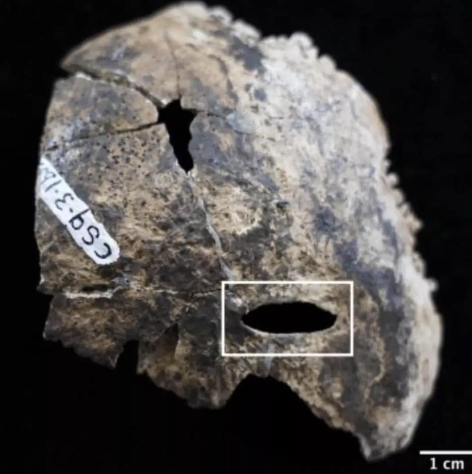 Muitos dos ossos encontrados na Caverna do Sangue apresentavam sinais de lesões traumáticas (Michele Bleuze).