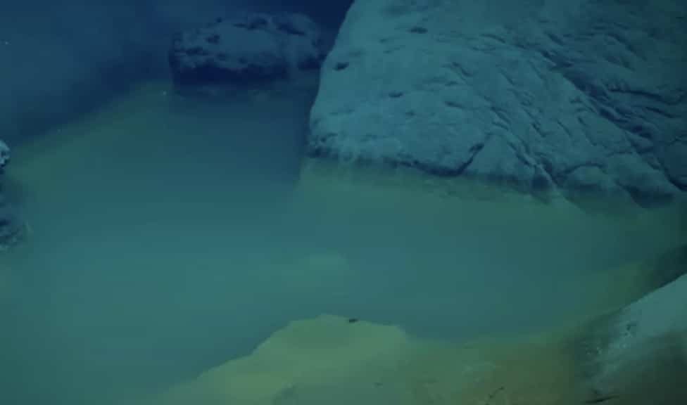 Cientistas fizeram uma descoberta terrível e desoladora ao chegarem ao fundo do Mar Vermelho Pode não parecer grande coisa, mas confie em nós (YouTube/OceanX)