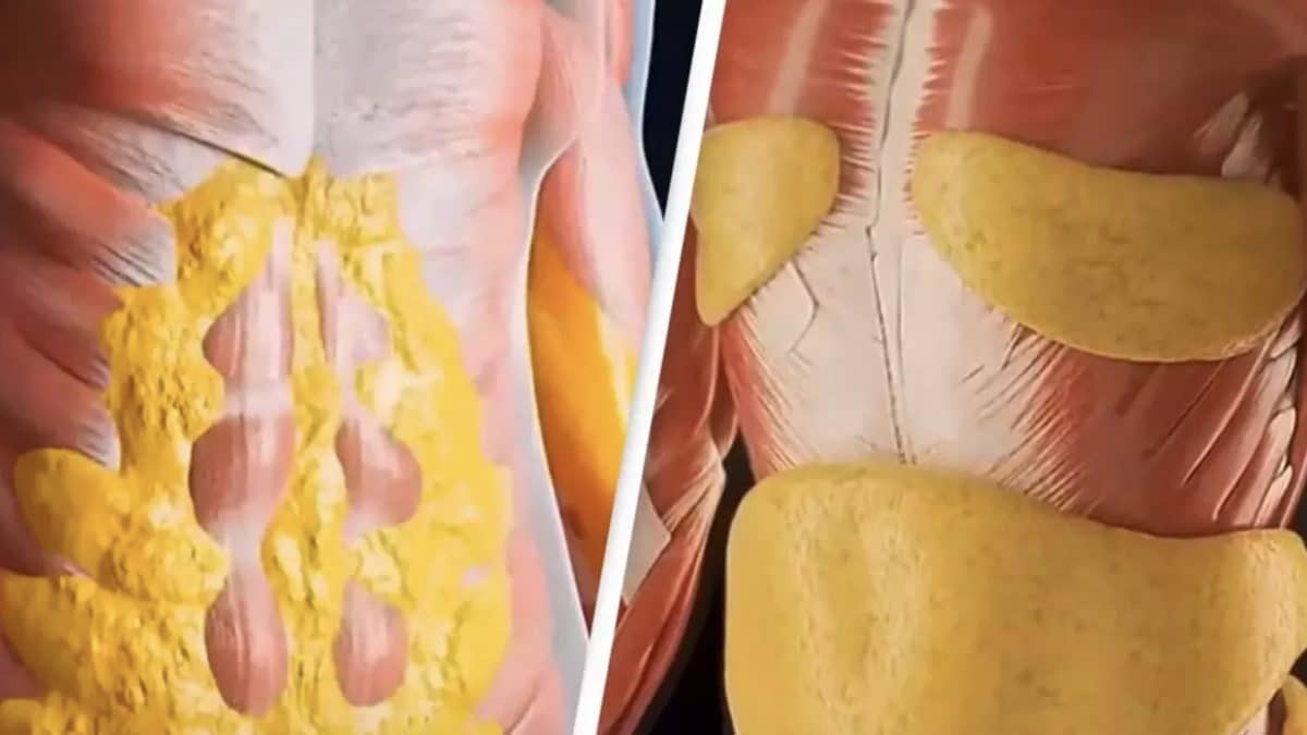 Simulação chocante mostra o que acontece com seu corpo ao ficar 36 horas em jejum e o impacto extremo