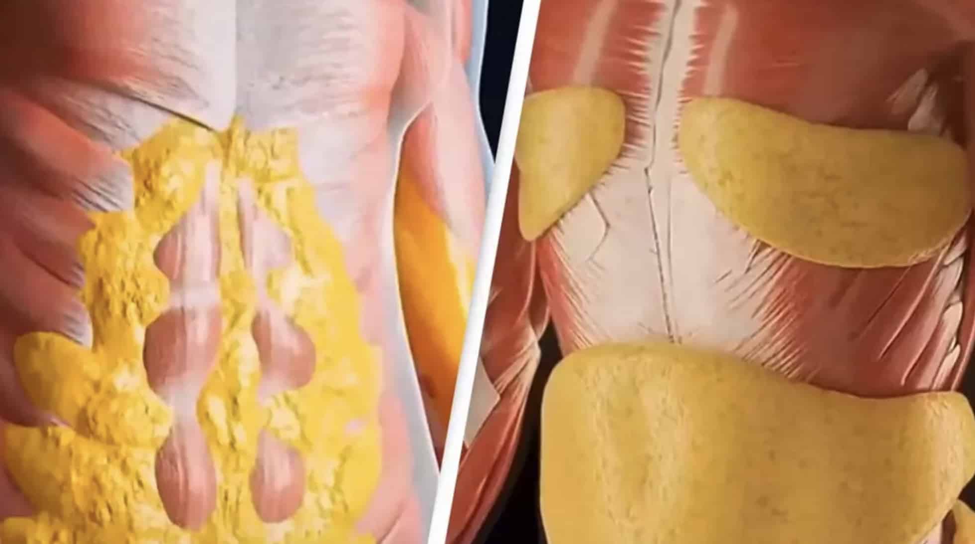 Simulação chocante mostra o que acontece com seu corpo ao ficar 36 horas em jejum e o impacto extremo Simulação chocante mostra o que acontece com seu corpo ao ficar 36 horas em jejum e o impacto extremo