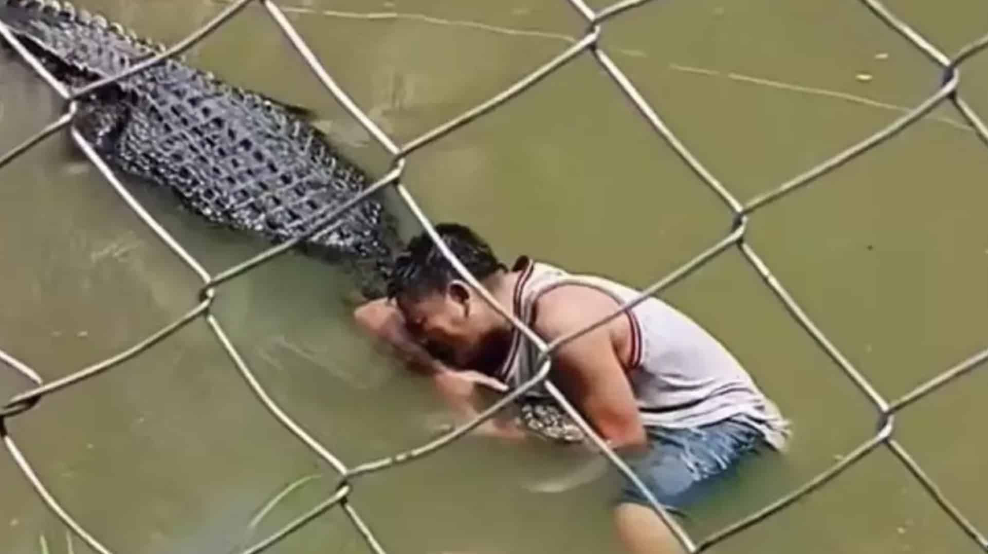 Vídeo chocante mostra momento em que turista é atacado por crocodilo ao invadir recinto Vídeo chocante mostra momento em que turista é atacado por crocodilo ao invadir recinto